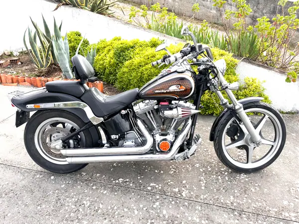 Harley-Davidson Softail® Breakout® 2003 FXS