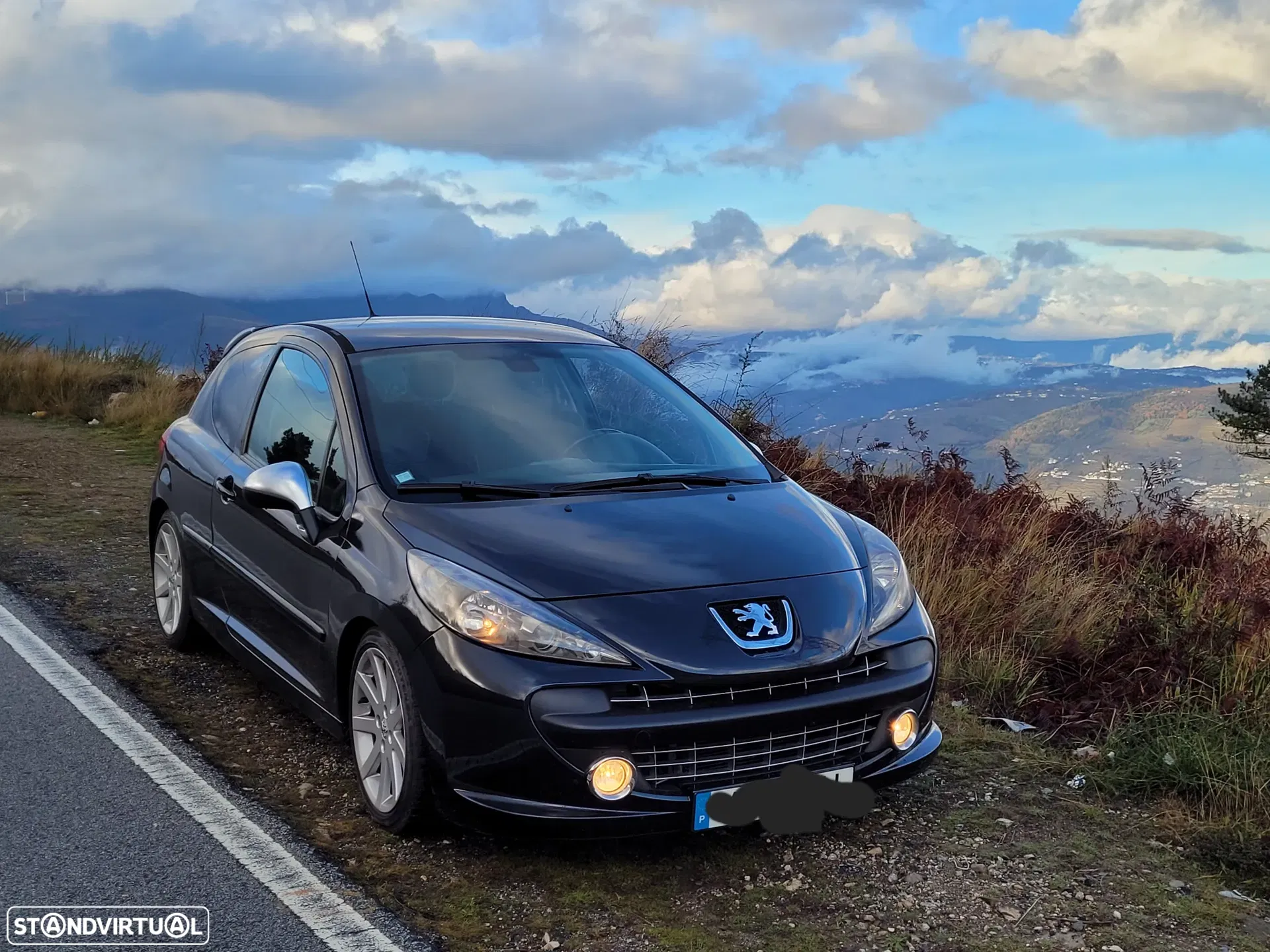 Peugeot 207 175 RC