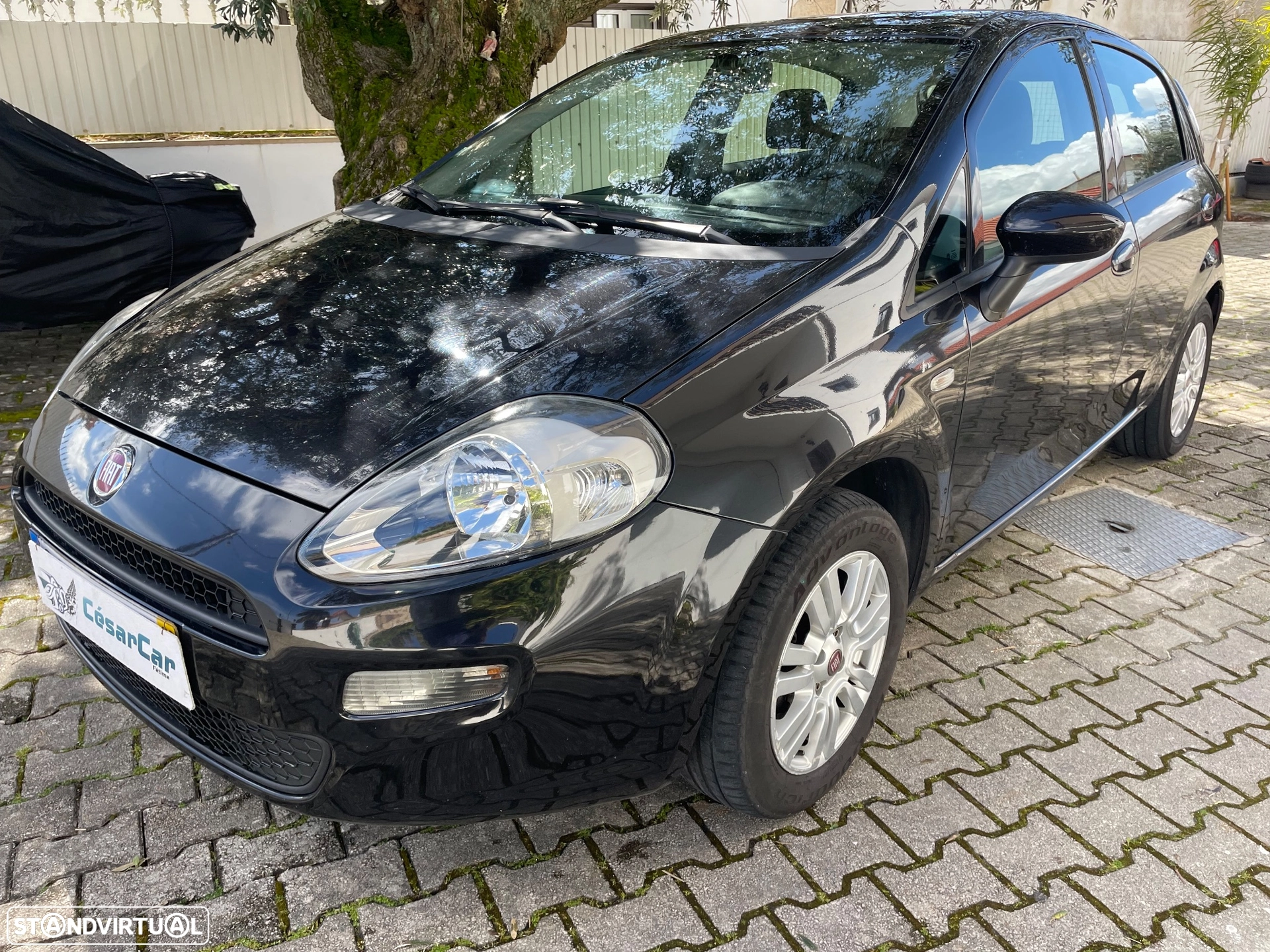 Foto 2