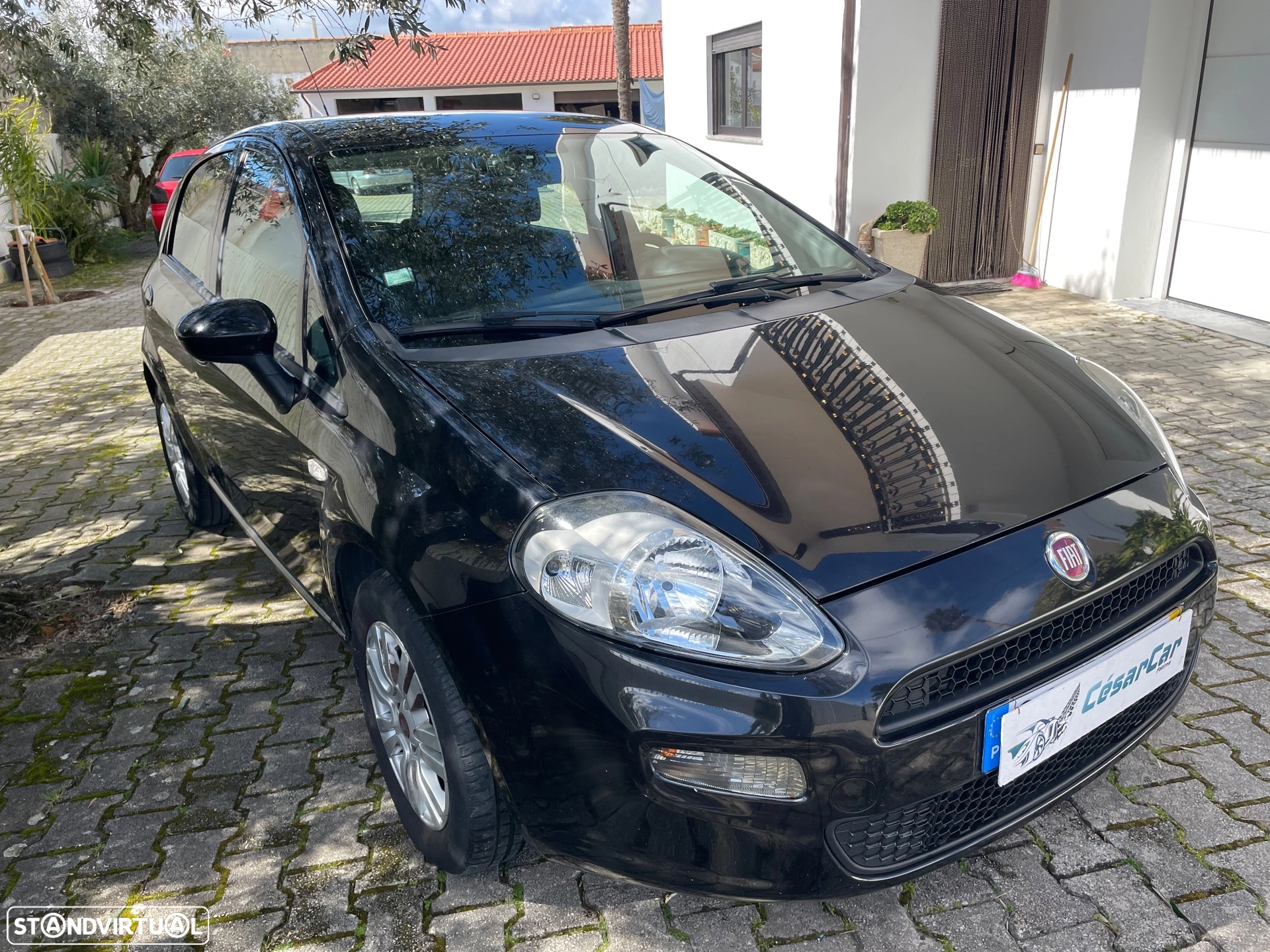 Foto 5