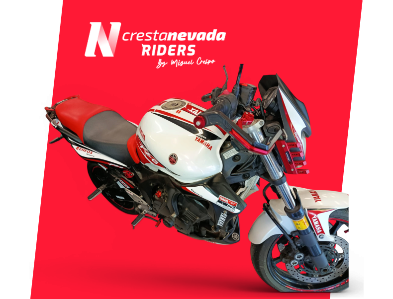 Yamaha FZ 6
