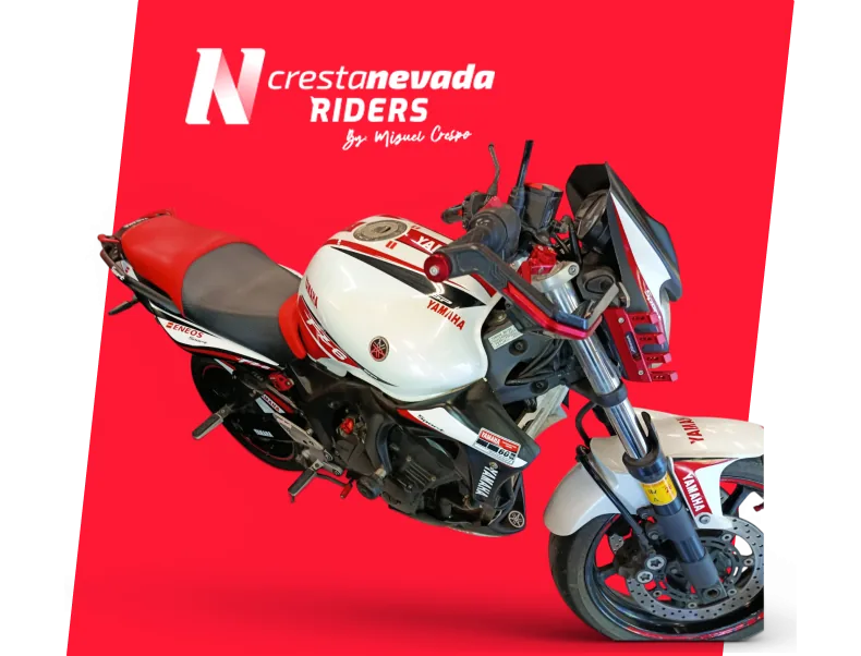 Yamaha FZ 6