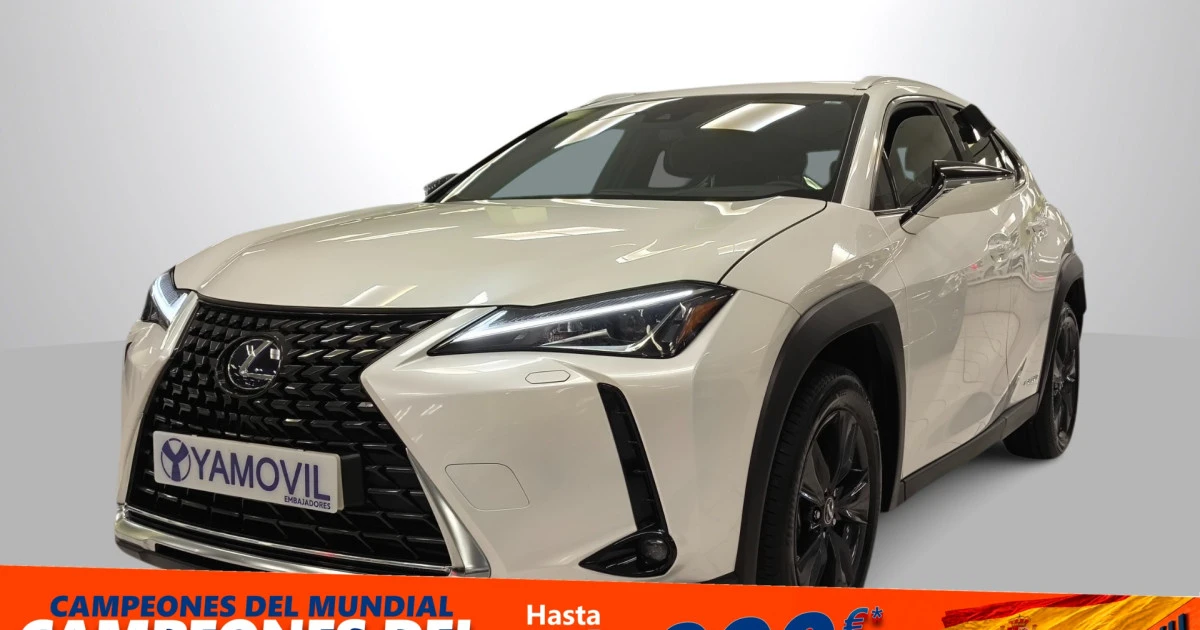 Lexus UX 250h Business 2WD 135 kW (184 CV)