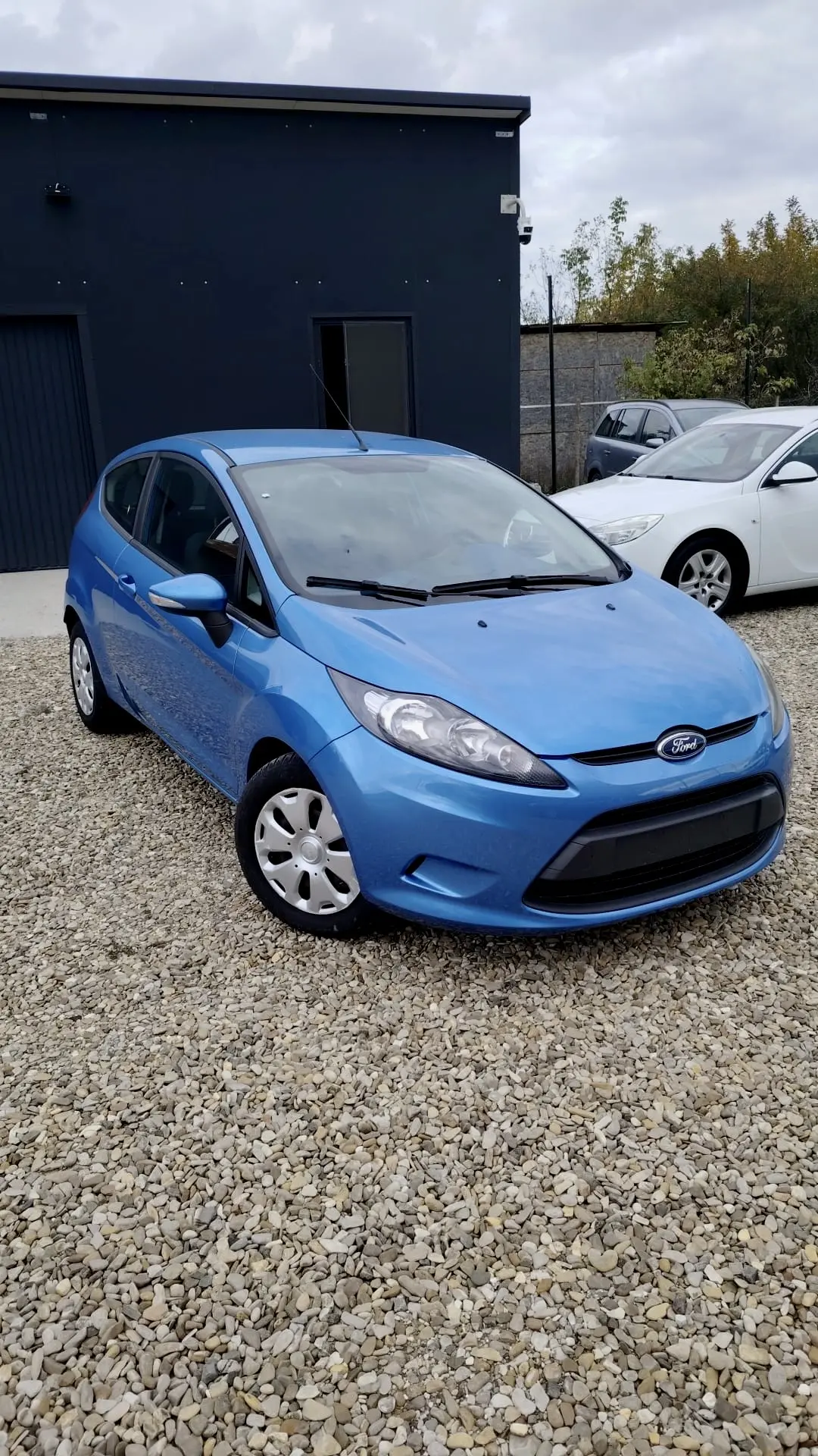 Ford Fiesta 2010