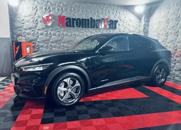Ford Mustang Mach-E 2021 Standard