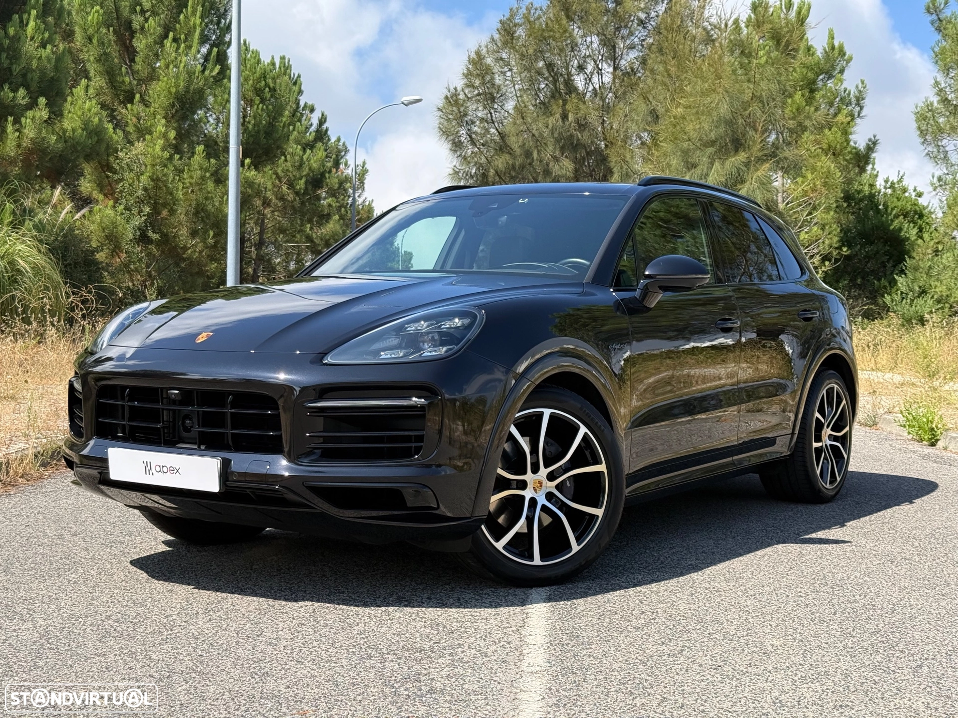 Porsche Cayenne E-Hybrid Tiptronic S Platinum Edition