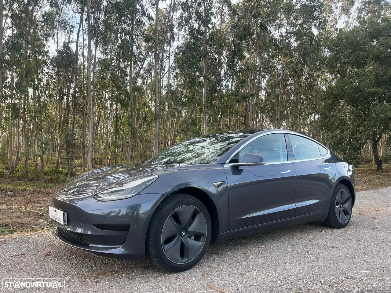 Tesla Model 3 Tração Traseira