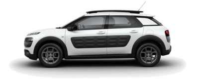 Citroen C4 Picasso 1.6 VTi Business 88 kW (120 CV)