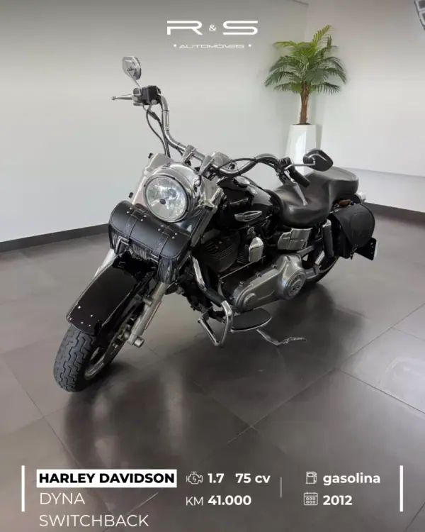 Harley-Davidson Dyna Low Rider S 2012 switchback