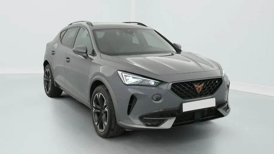 Cupra Formentor 2.0 TDI 150 CH BUSINESS EDITION Occasion