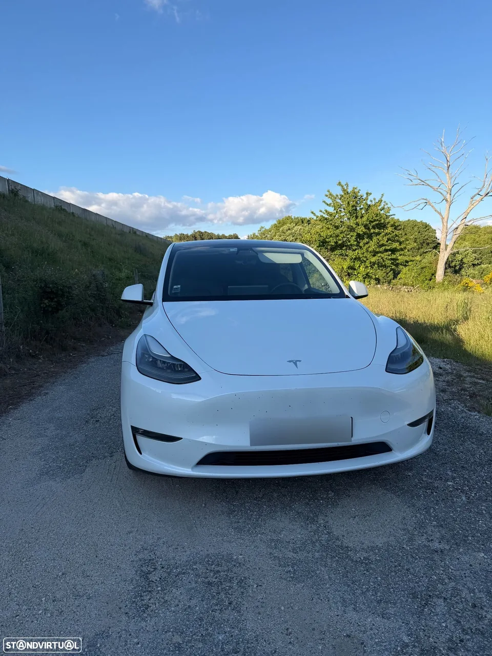 Tesla Model Y Performance Tração Integral