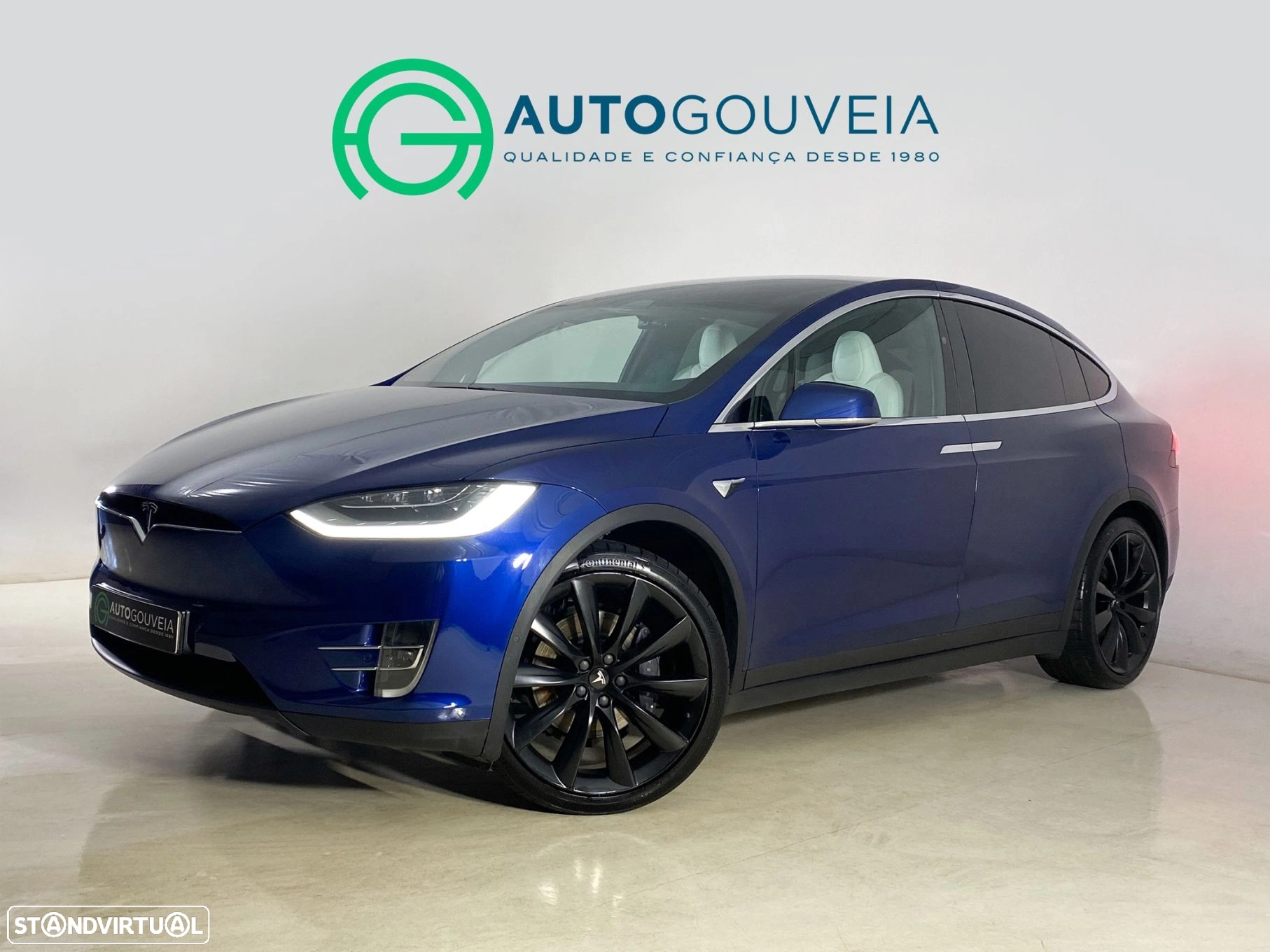 Tesla Model X 100D