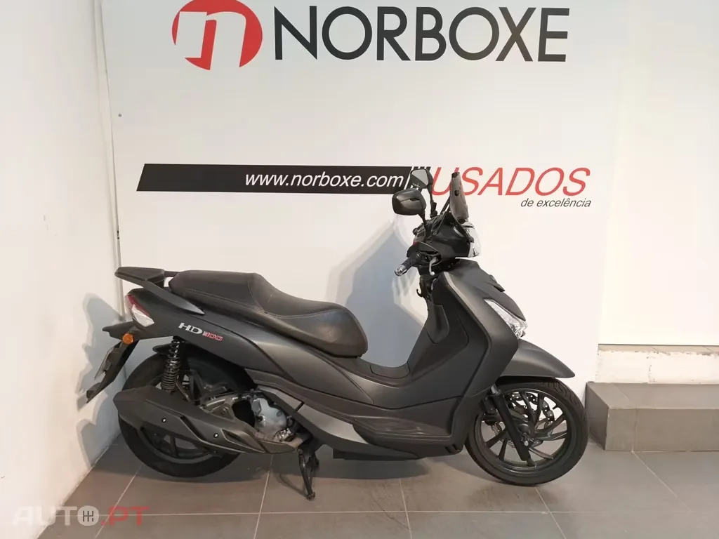 Sym HD 300