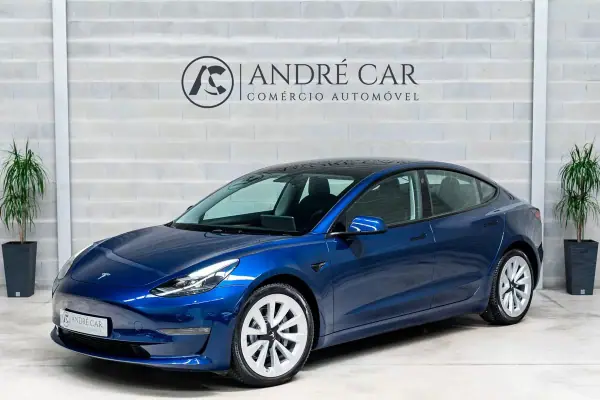 Tesla Model 3 2021 Long-Range Dual Motor AWD
