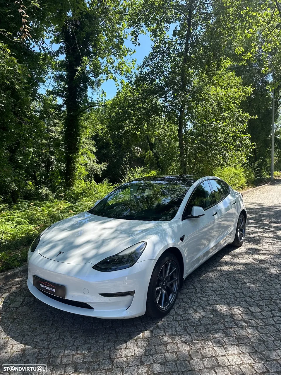 Tesla Model 3 Long Range Tração Integral