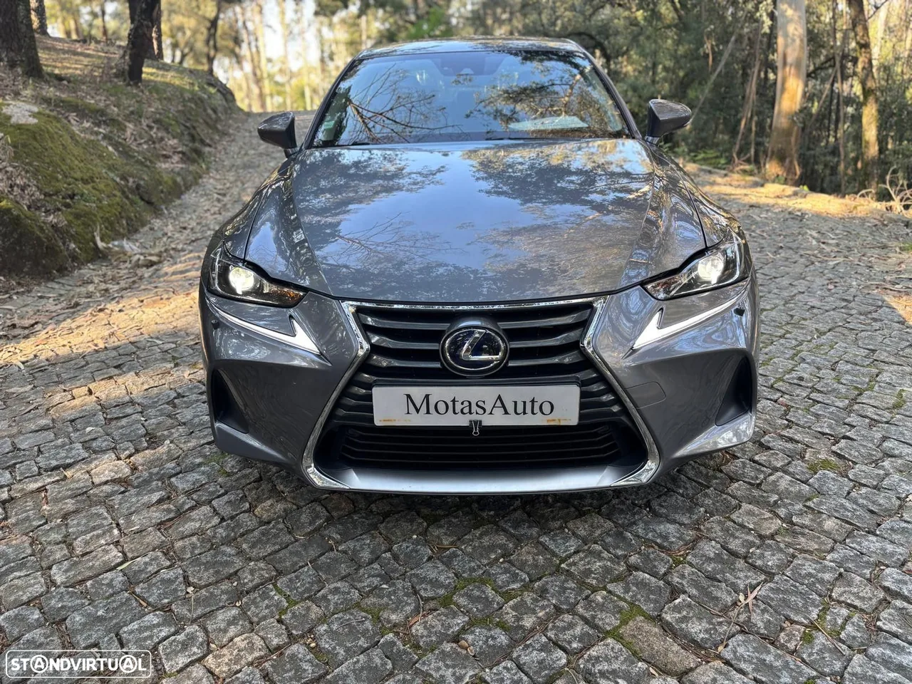 Foto 5
