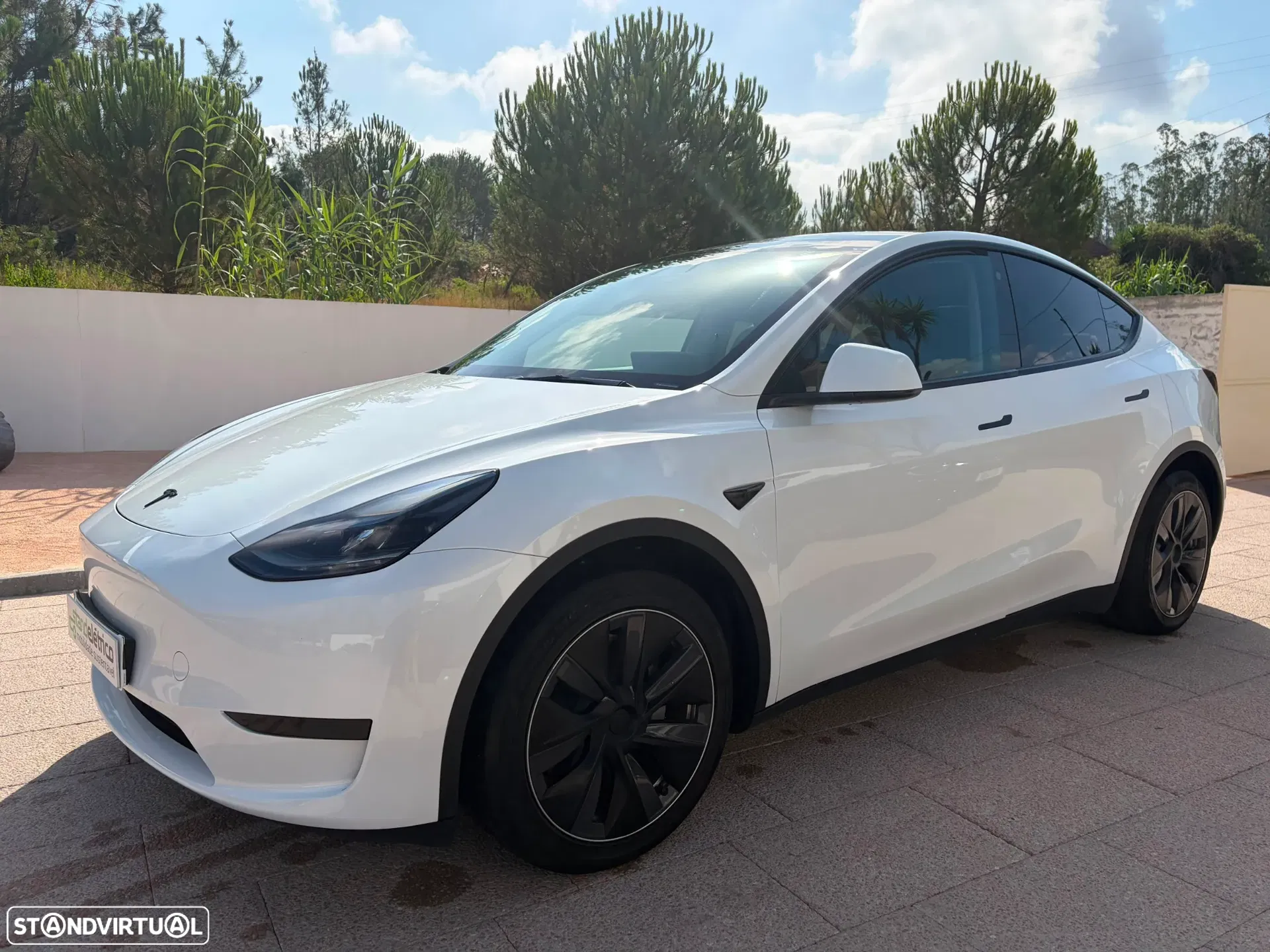Tesla Model Y Standard