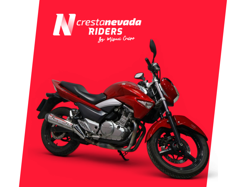 Suzuki INAZUMA 250
