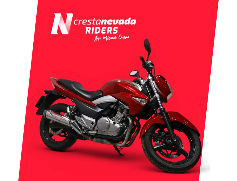 Suzuki INAZUMA 250