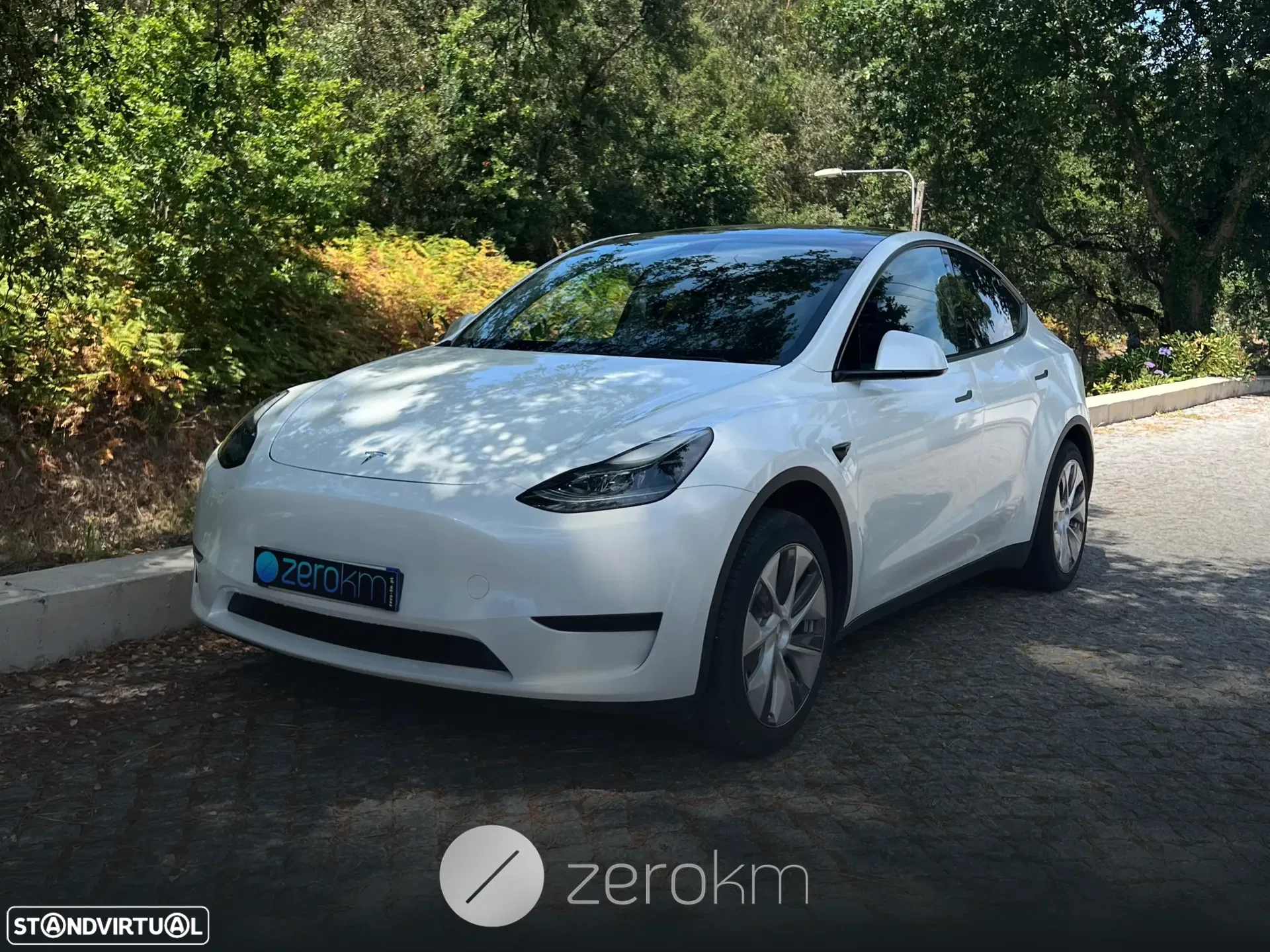 Tesla Model Y RWD