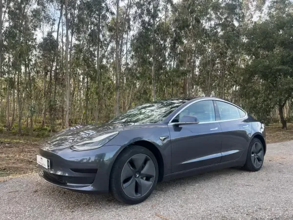 Tesla Model 3 2020 Tração Traseira